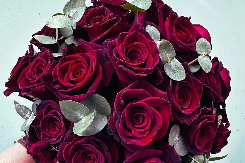 Les Javottes — photo 2