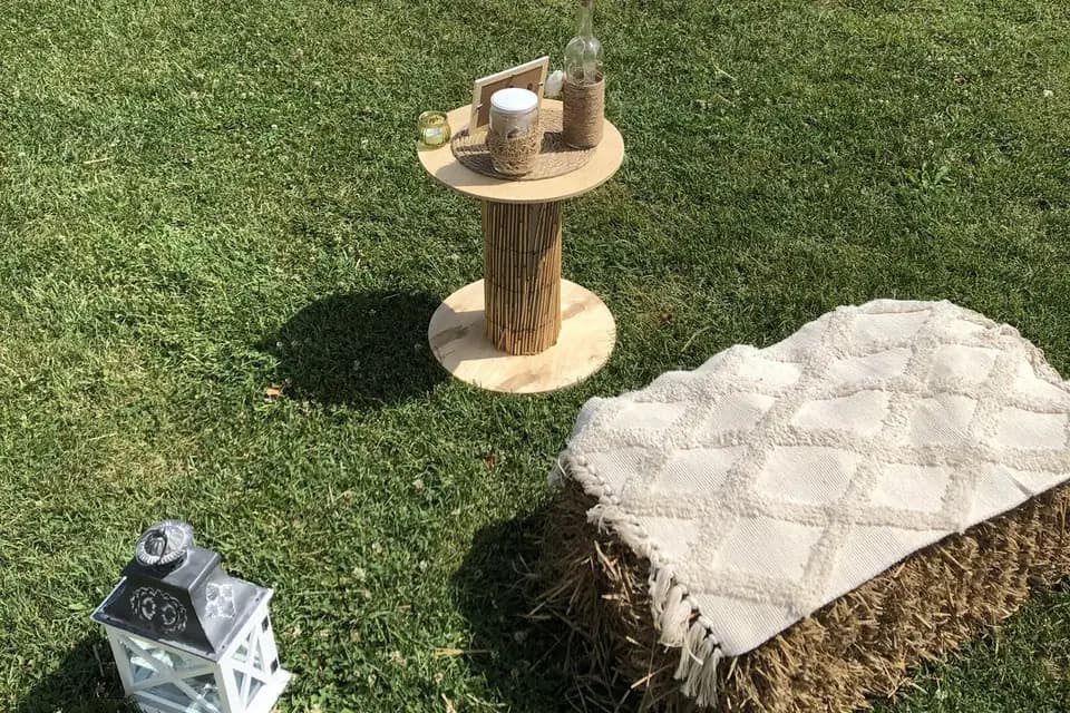 Virginie Astier — photo 4