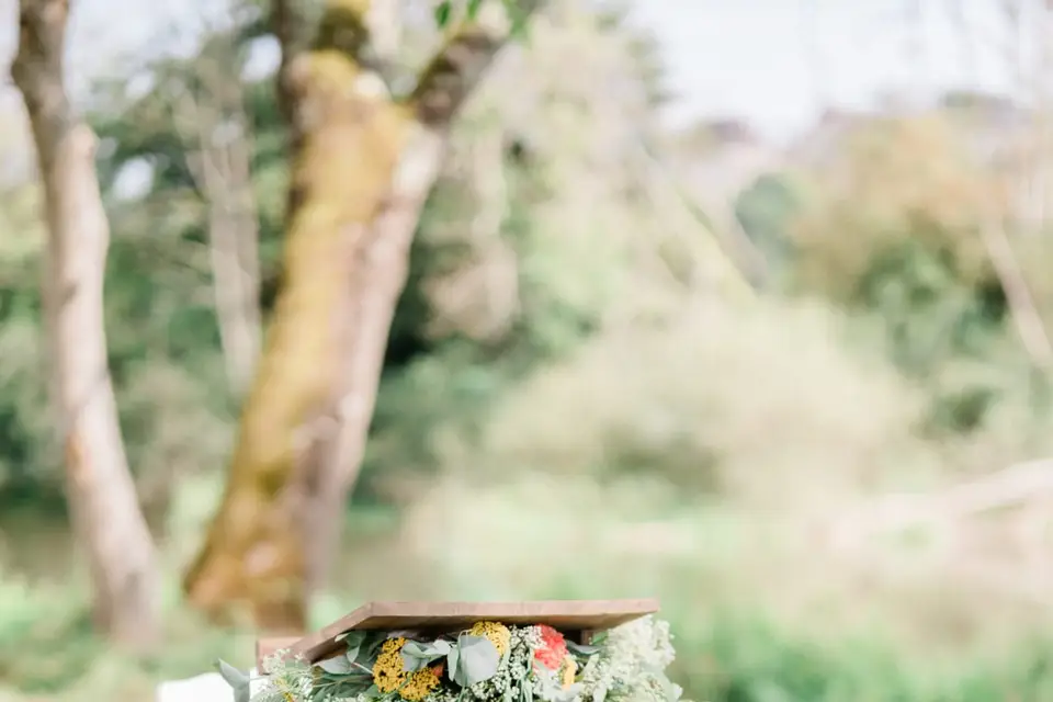 Le cabinet des renards — photo 8