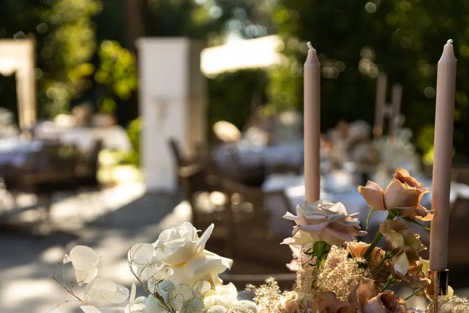 Oh Mon Amour — photo 6