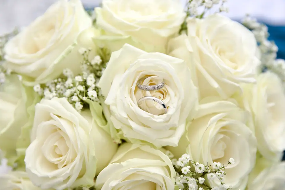 Best Wedding Video — photo 7