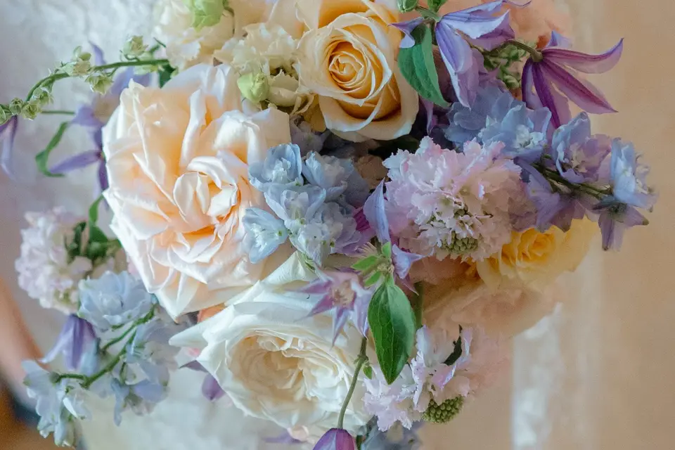 Pearly White Concept — photo 3