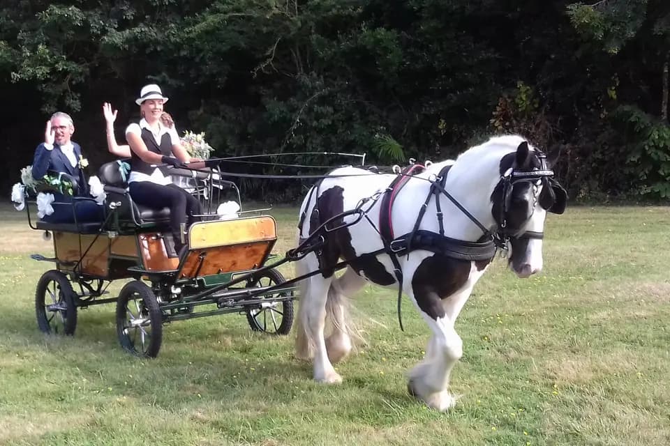 Les Crins du Moulin — photo 2