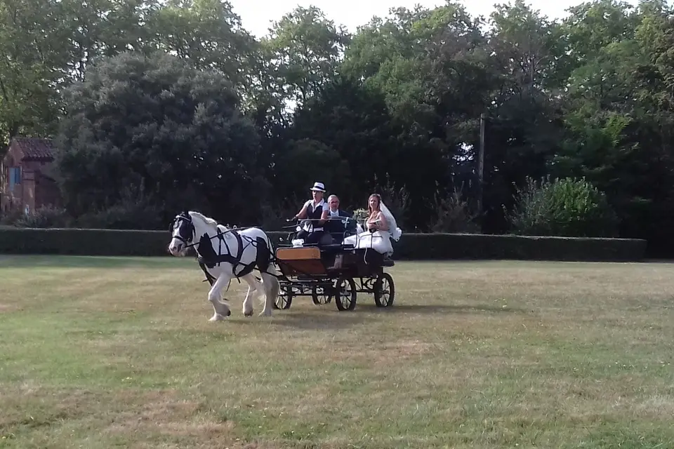 Les Crins du Moulin — photo 3