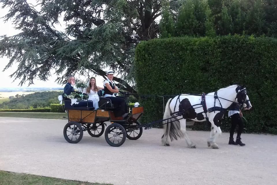 Les Crins du Moulin — photo 1