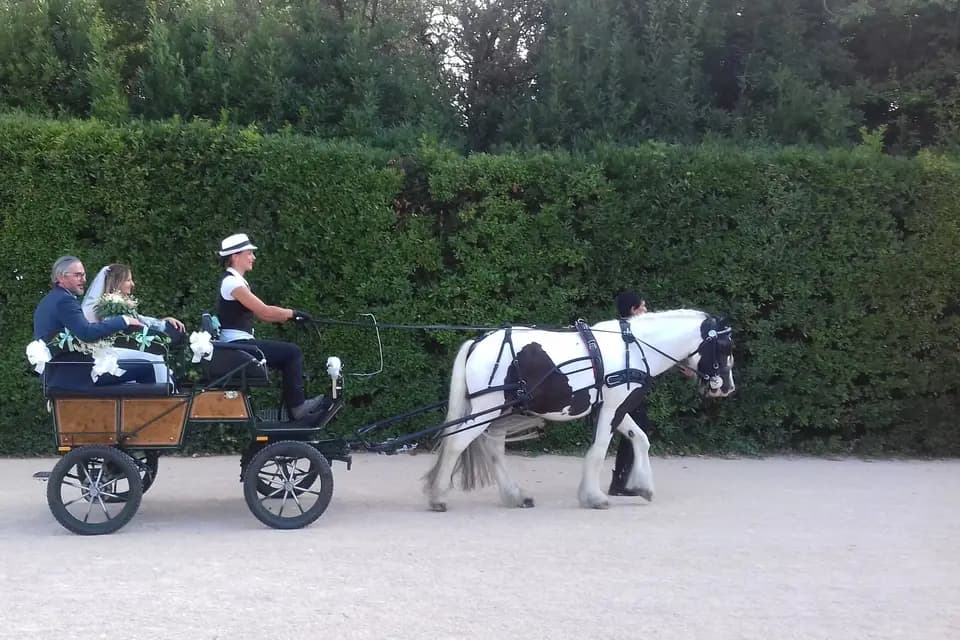 Les Crins du Moulin — photo 7