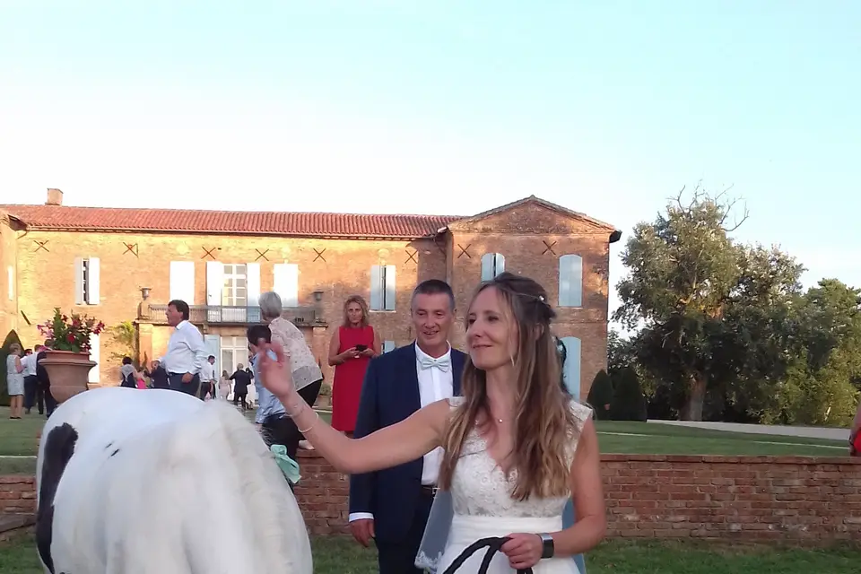 Les Crins du Moulin — photo 4