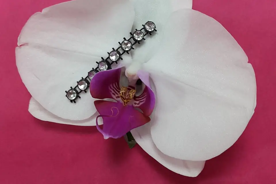 Lilo Fleuri — photo 7