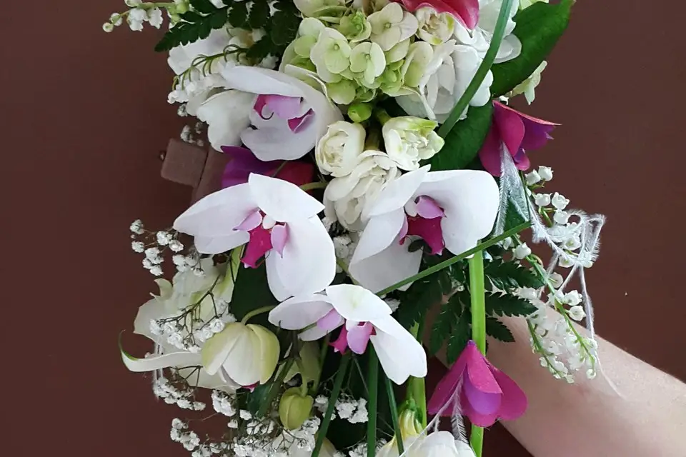 Lilo Fleuri — photo 8