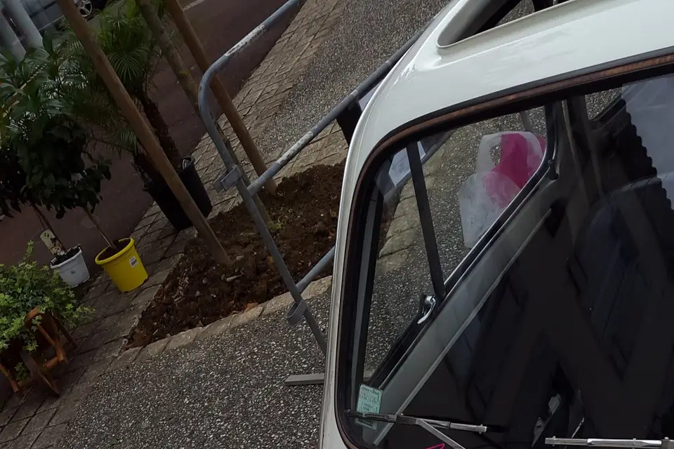 Lilo Fleuri — photo 4