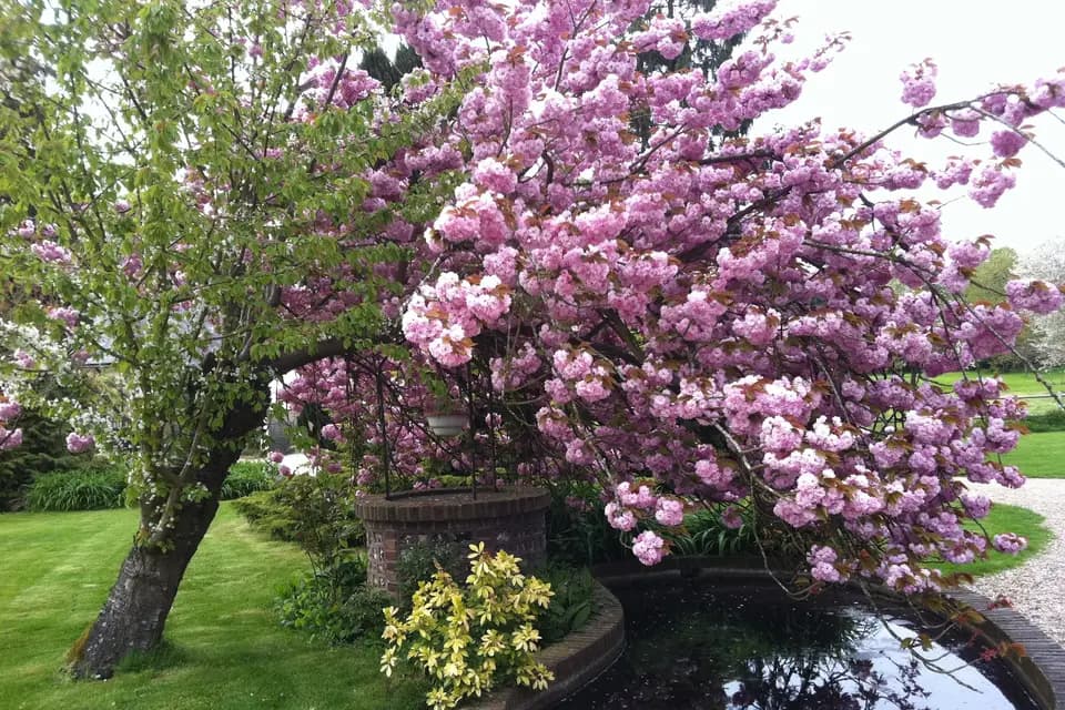 Le Manoir du Thil — photo 8