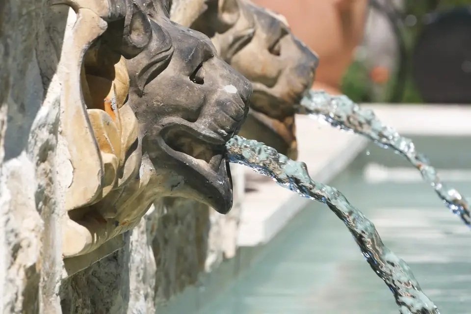 L'Orangeraie — photo 6