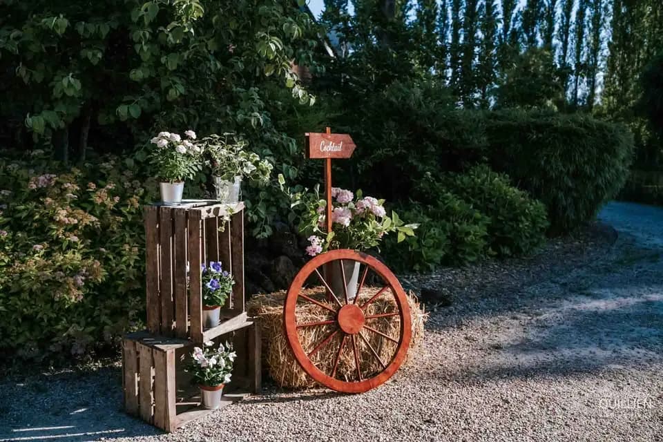 Salvanacrea — photo 2