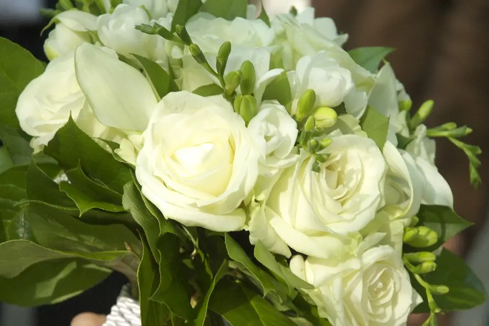 Les films heureux — photo 7