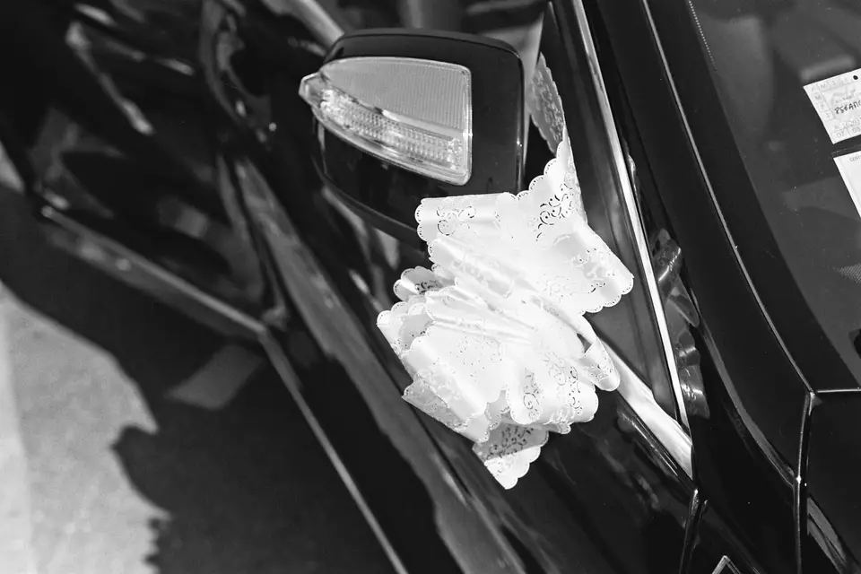 Les films heureux — photo 4