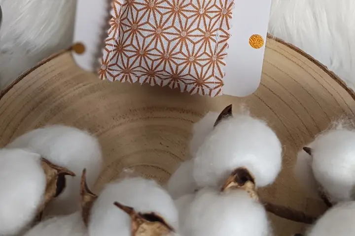 Oh Calypso — photo 3