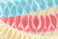 Party Fiesta Poitou-Charentes — photo 1