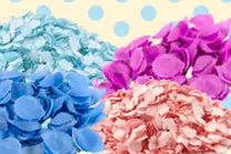 Party Fiesta Poitou-Charentes — photo 5