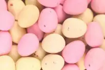 Party Fiesta Poitou-Charentes — photo 6