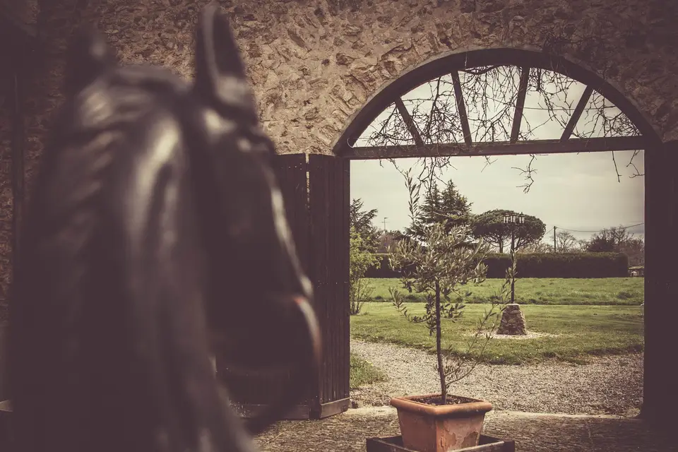 Domaine de Vareilles — photo 3