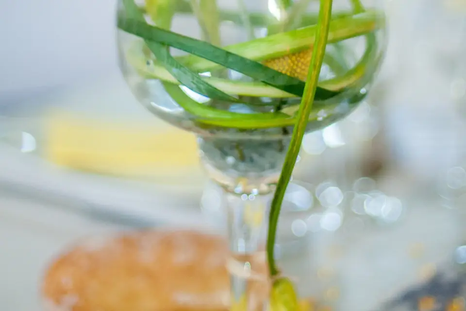 La Photolaterie — photo 6