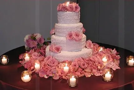 Des étoiles plein les yeux 66