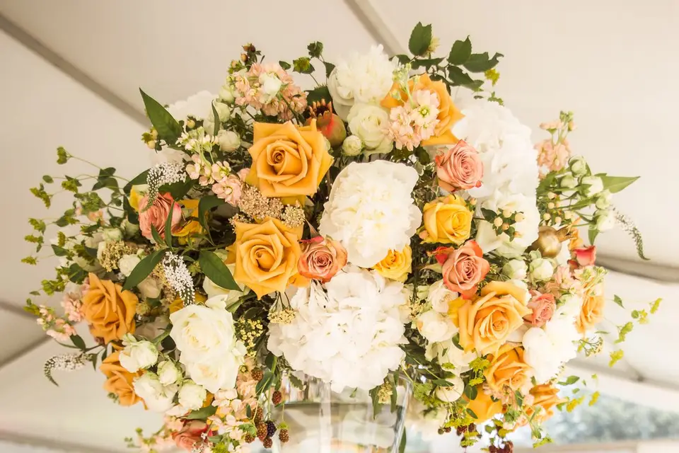 Belle Fleur — photo 5