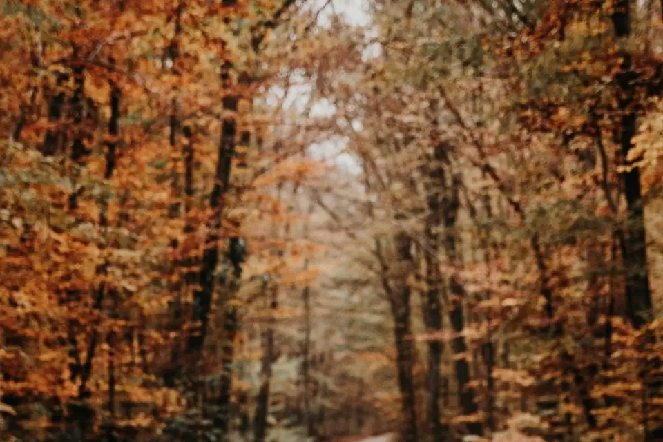 Mon Wedding Planner en Périgord — photo 5