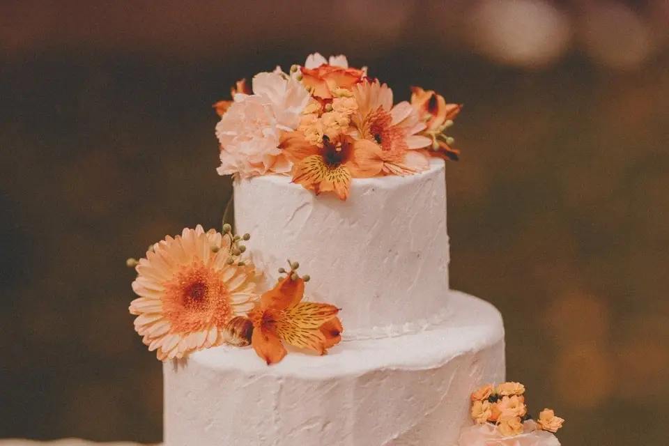 Mon Wedding Planner en Périgord — photo 2