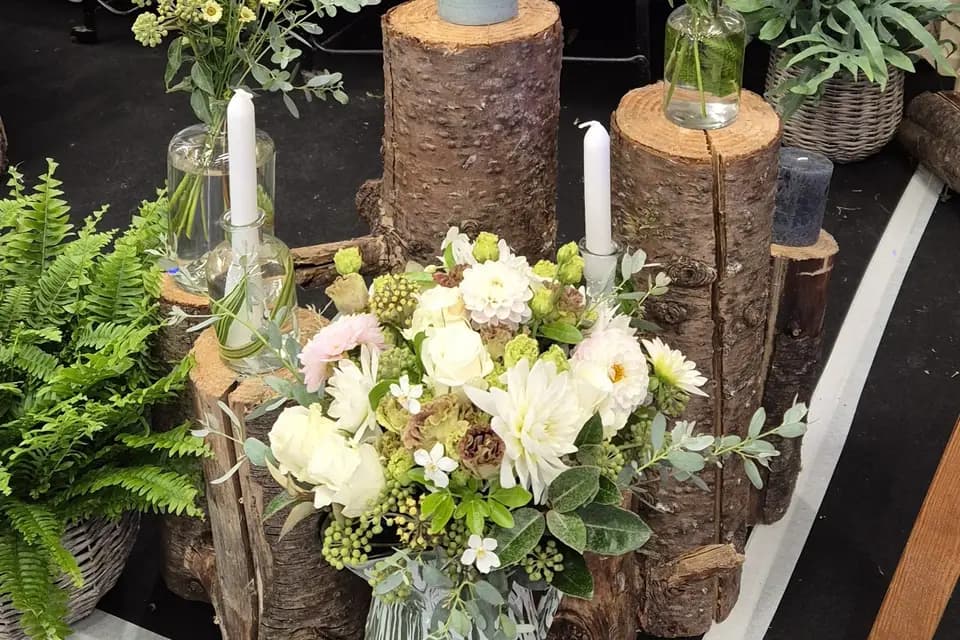 Plume d’Émerveil — photo 8