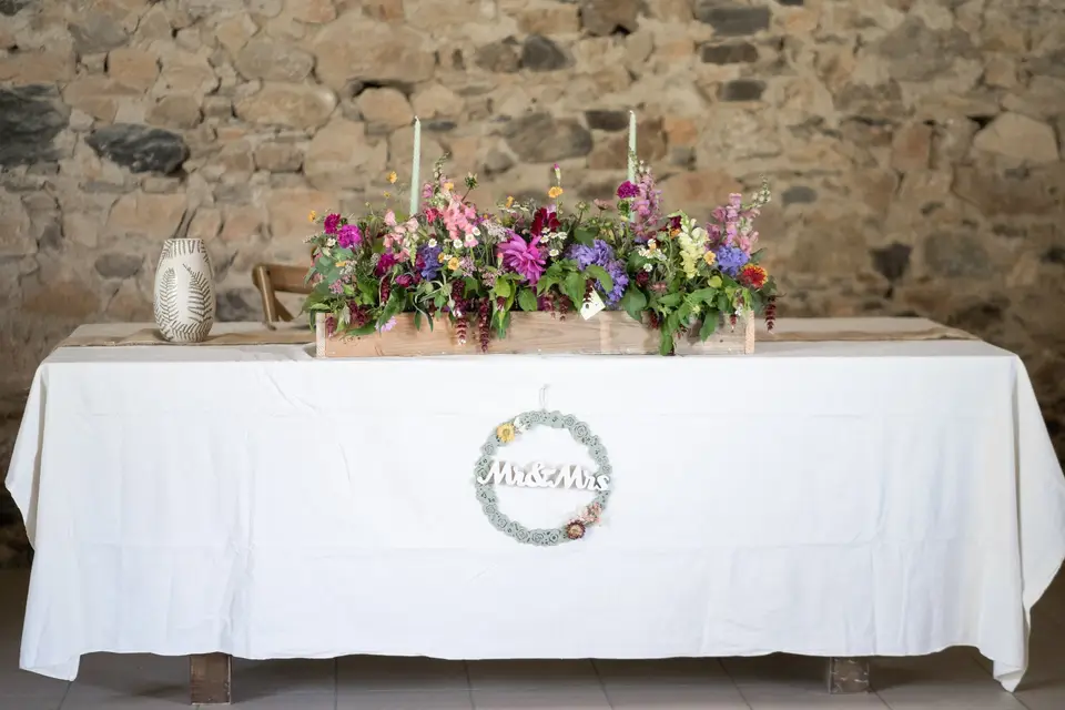 Plume d’Émerveil — photo 5