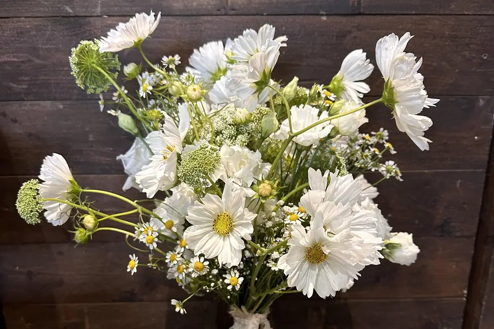 Autrement dit — photo 5