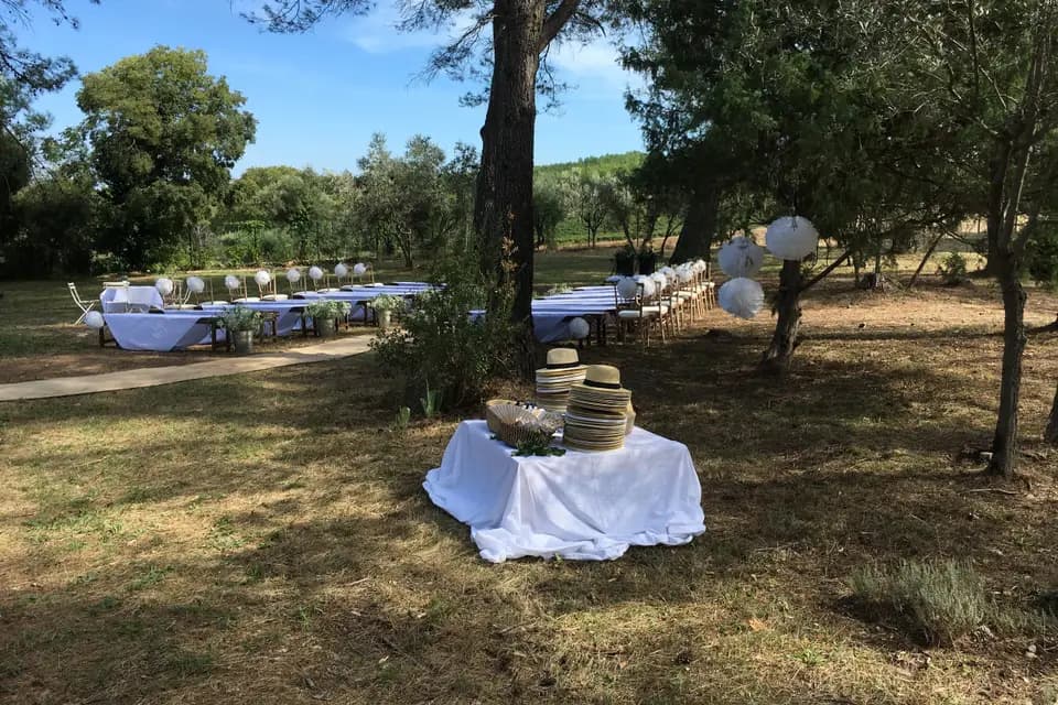 Crazy Monkeys Agency — photo 7