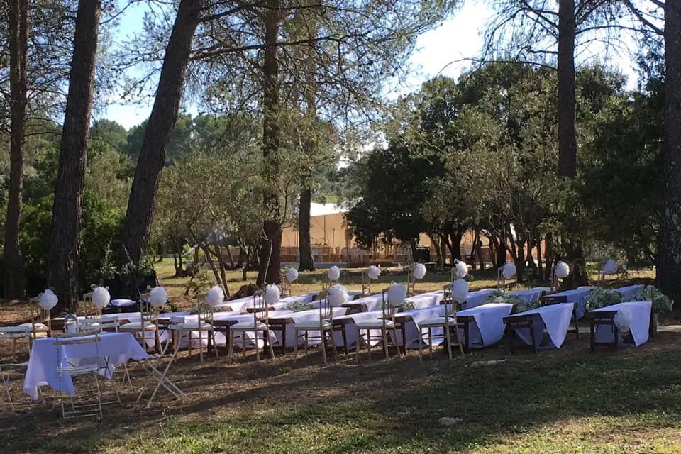 Crazy Monkeys Agency — photo 8