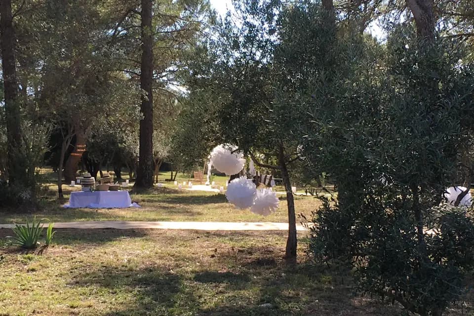 Crazy Monkeys Agency — photo 6