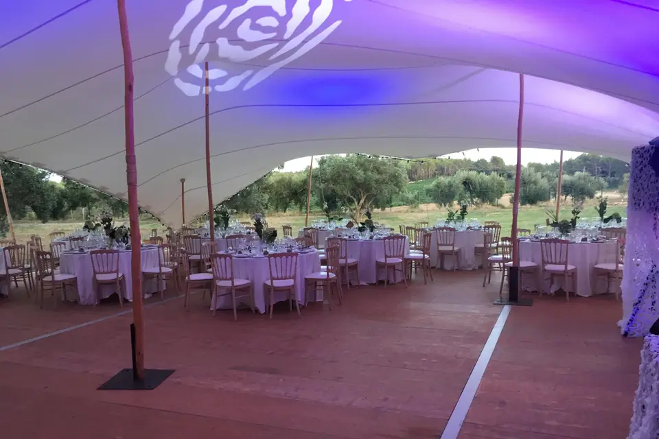 Crazy Monkeys Agency — photo 2