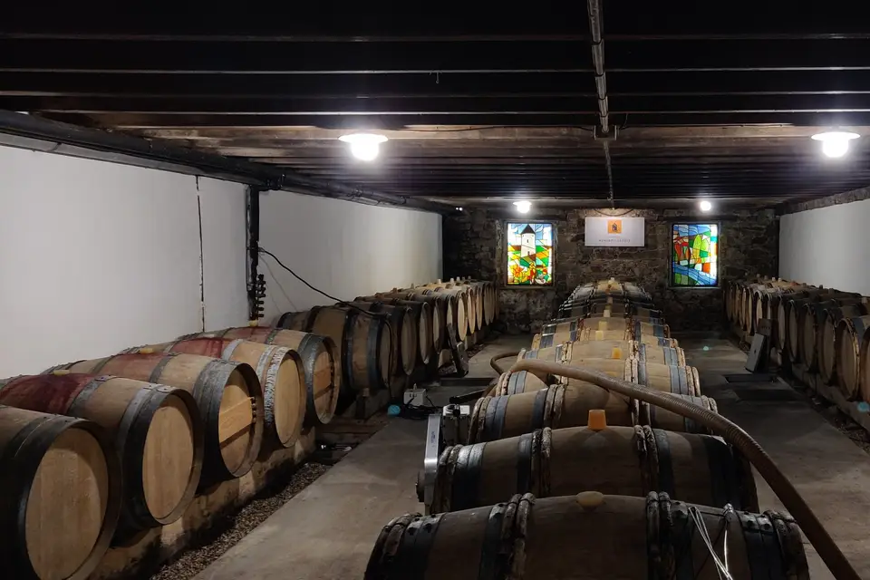 Nova Dégustation — photo 2