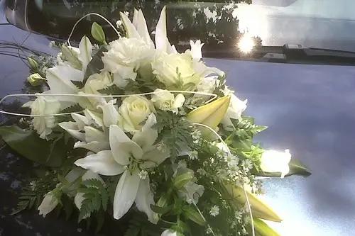 Les Jardins de la Fontaine — photo 5