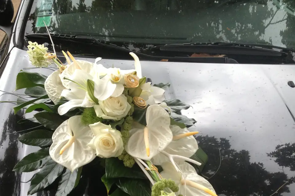 Les Jardins de la Fontaine — photo 6