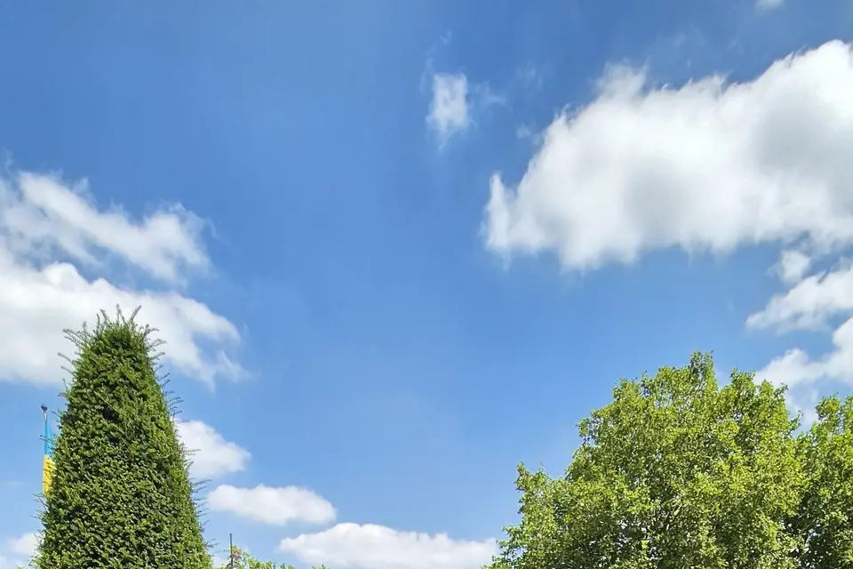 Luxe Link — photo 2