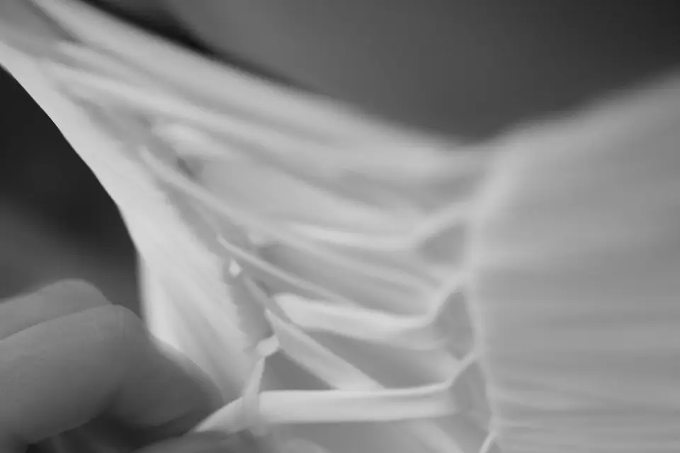 HDreammaker — photo 5