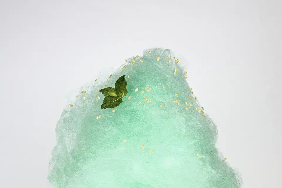 Maison de la Barbe à Papa — photo 6