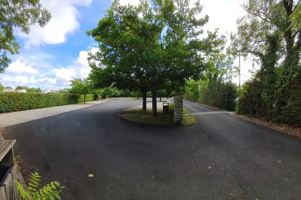 Monacalis — photo 6