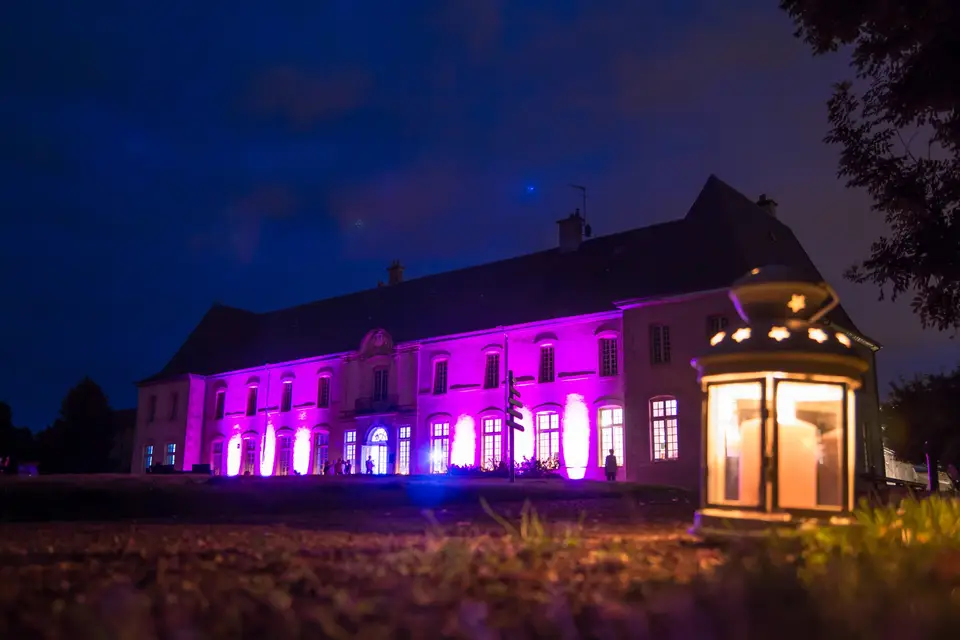 Silk Animation — photo 6