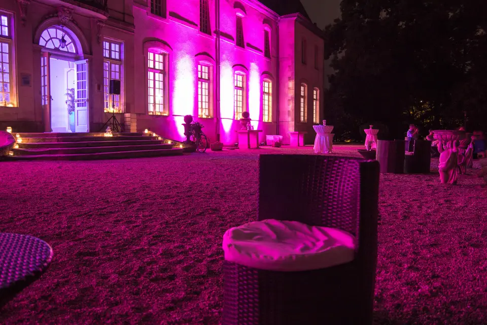 Silk Animation — photo 7