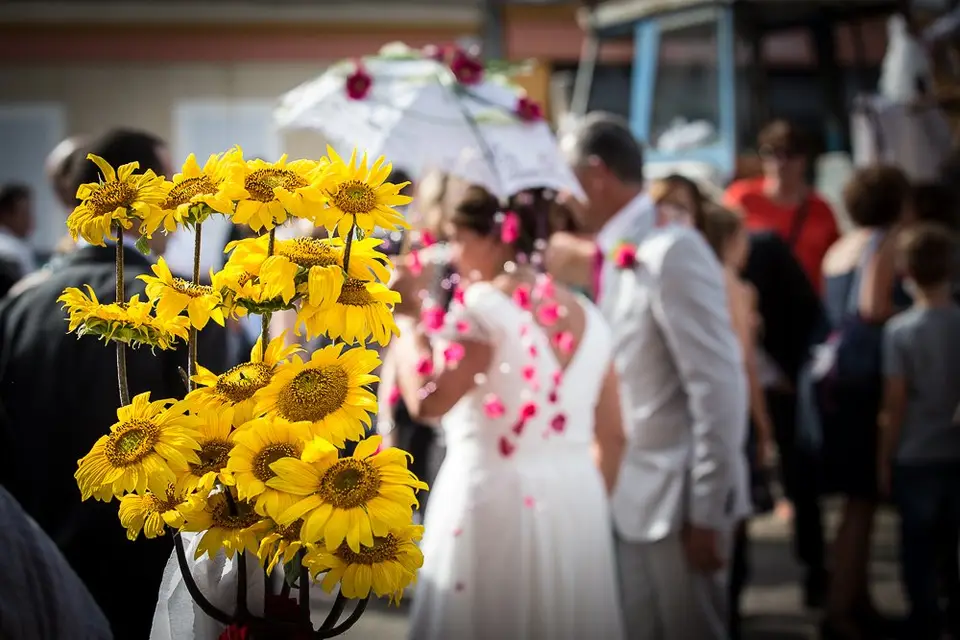 Goy Alexandre — photo 2