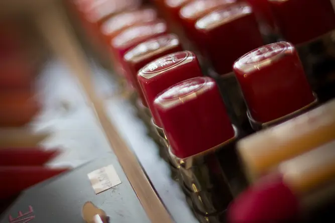 Goy Alexandre — photo 6