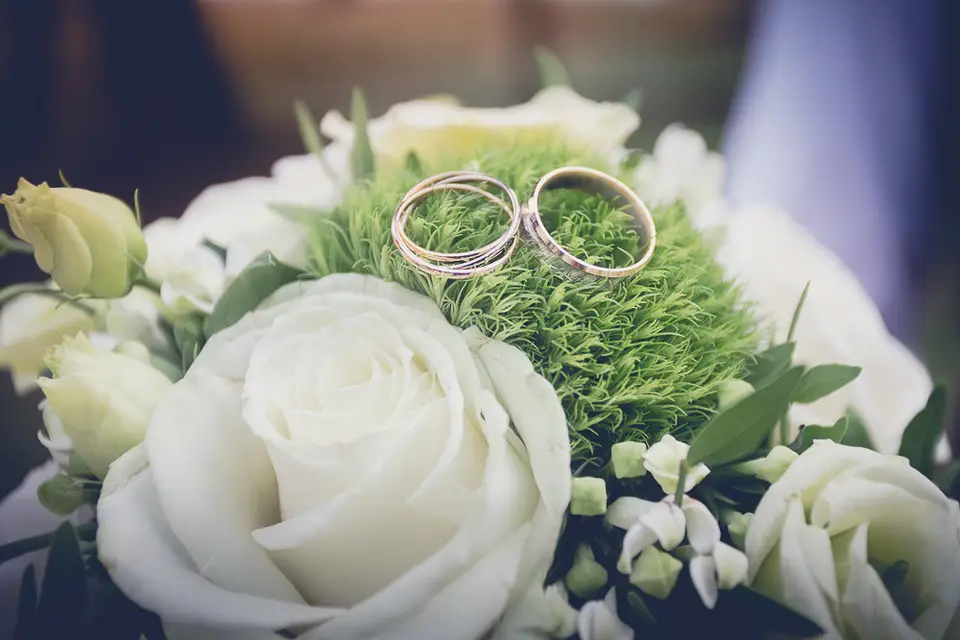 Goy Alexandre — photo 5