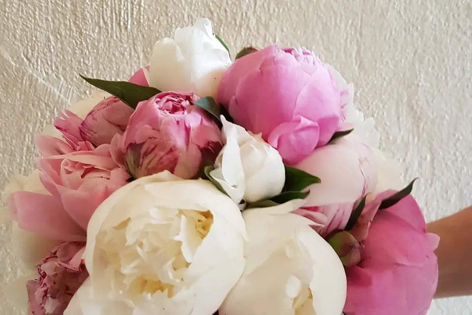 Les Fleurs du Lion — photo 6