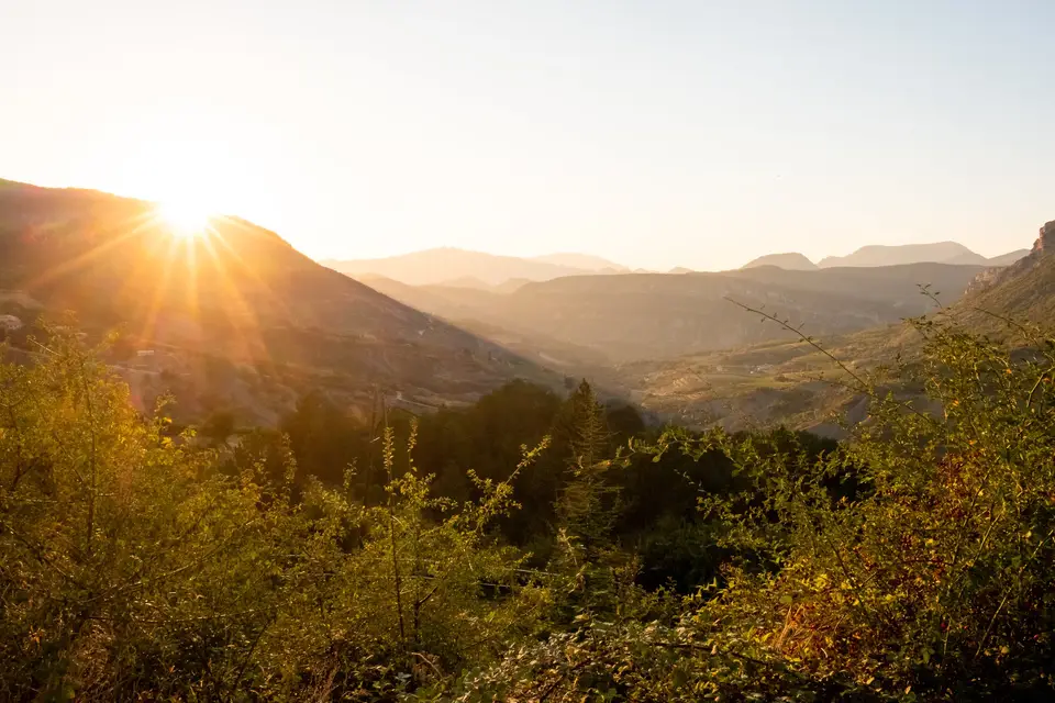 Ferme Fortia — photo 5